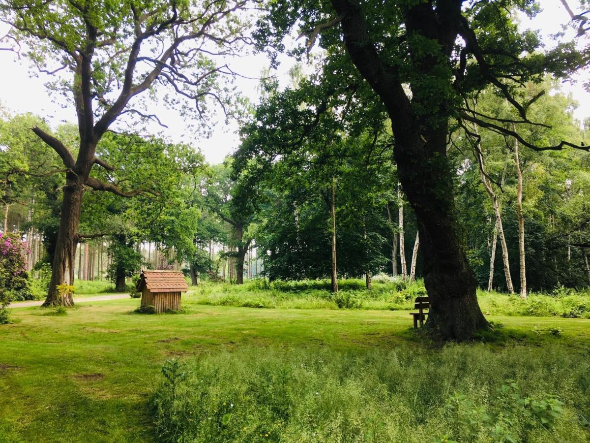 Hollicarrs - Stag Lodge York Eksteriør billede