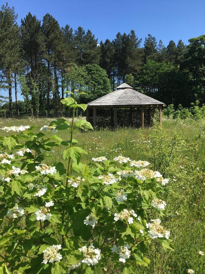 Hollicarrs - Stag Lodge York Eksteriør billede