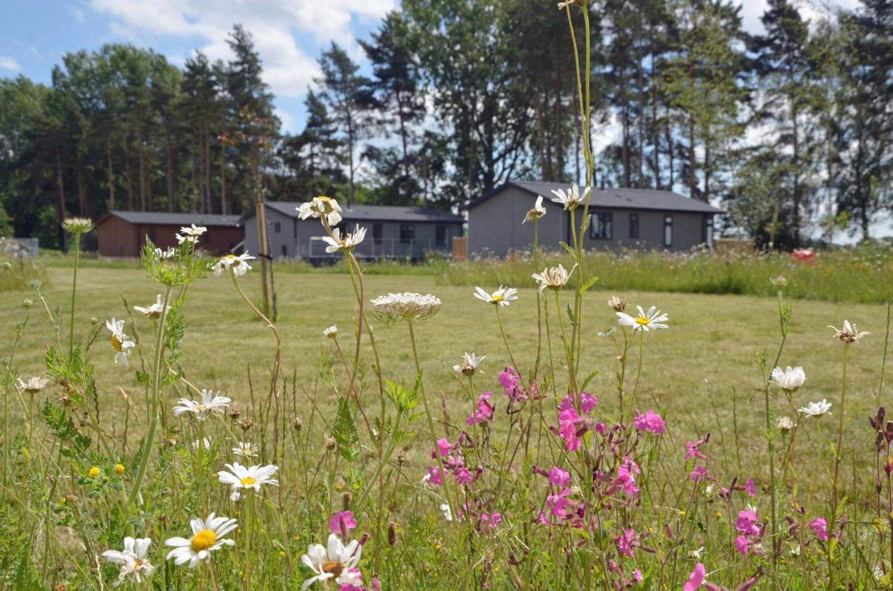 Hollicarrs - Stag Lodge York Eksteriør billede