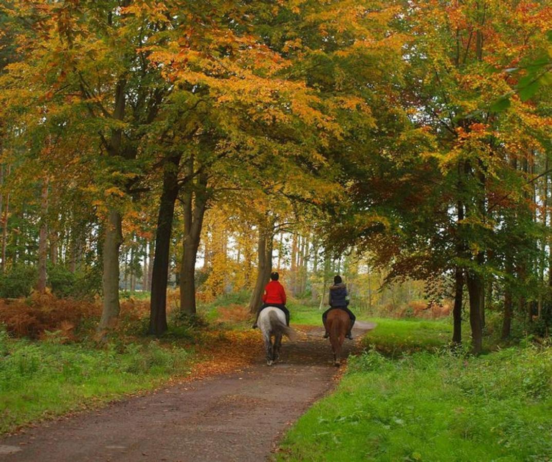 Hollicarrs - Stag Lodge York Eksteriør billede
