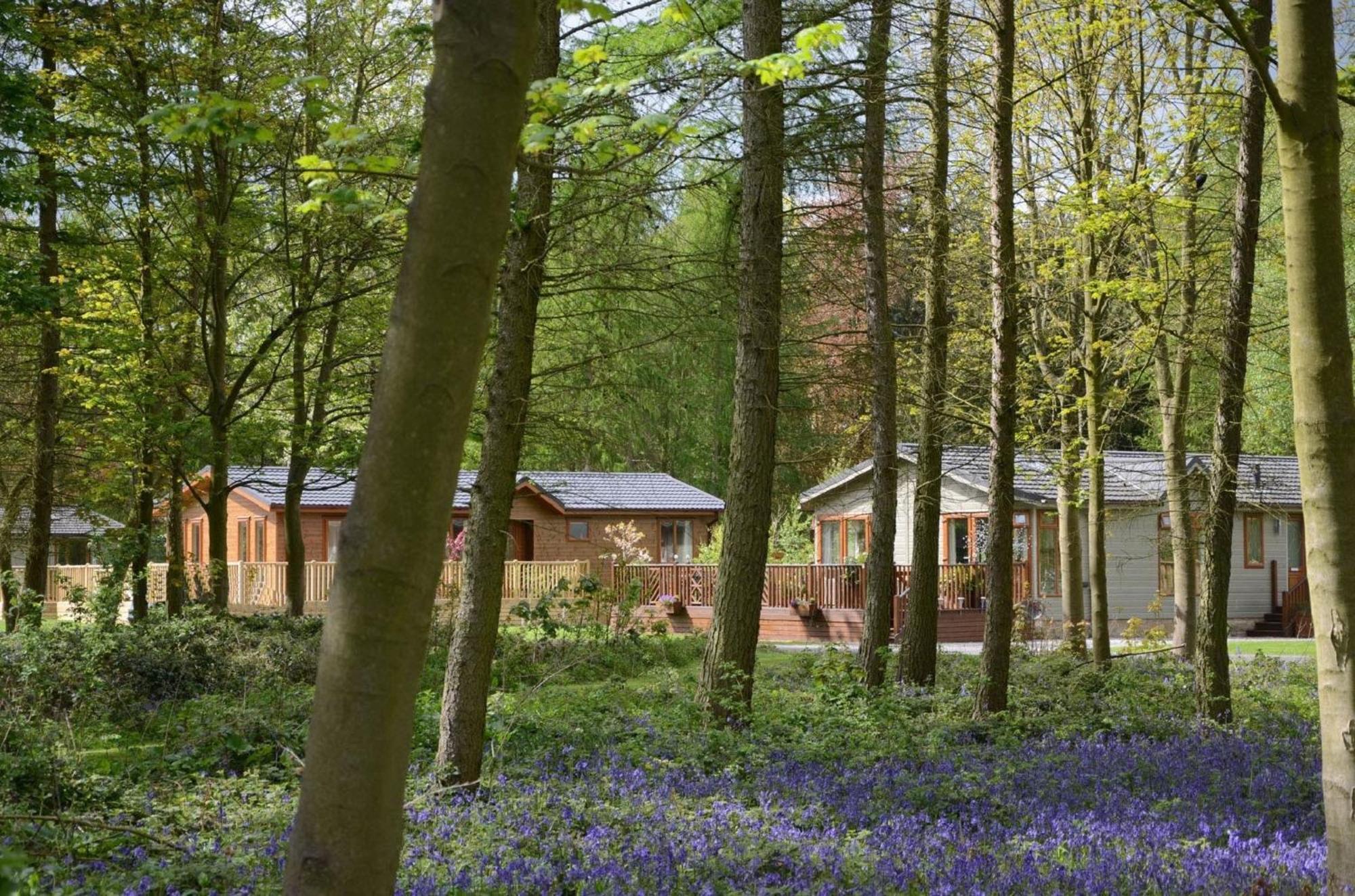 Hollicarrs - Stag Lodge York Eksteriør billede